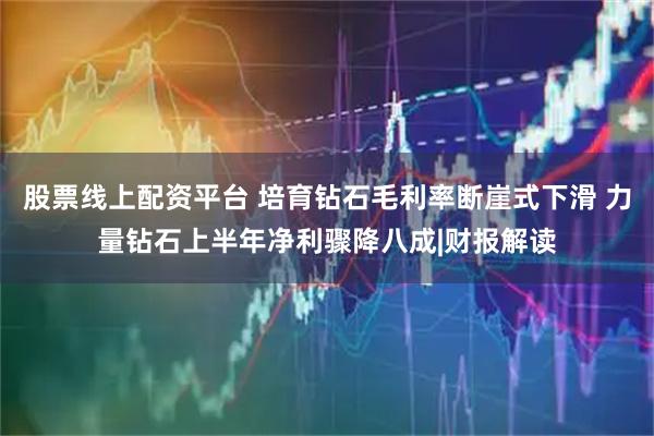 股票线上配资平台 培育钻石毛利率断崖式下滑 力量钻石上半年净利骤降八成|财报解读