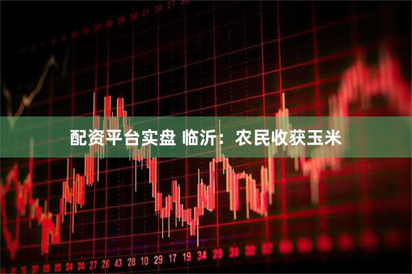 配资平台实盘 临沂：农民收获玉米